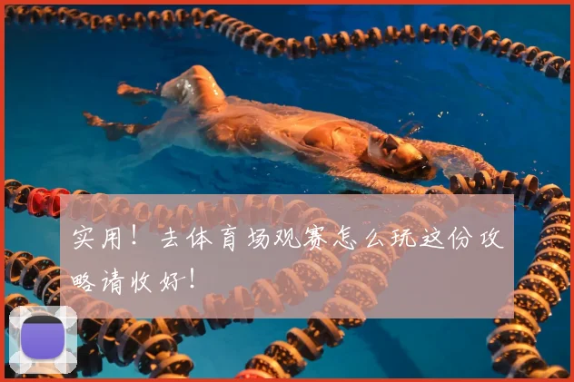 实用！去体育场观赛怎么玩这份攻略请收好！
