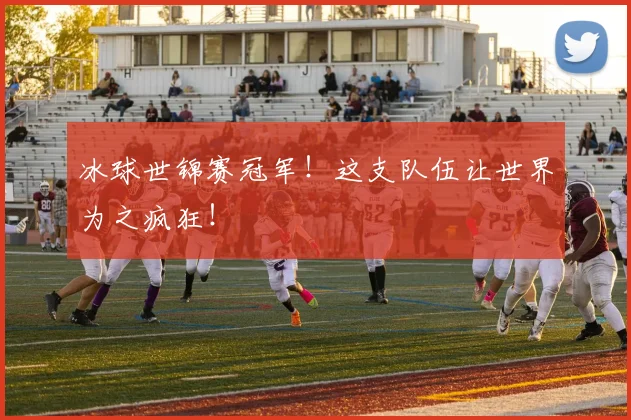 冰球世锦赛冠军!这支队伍让世界为之疯狂!