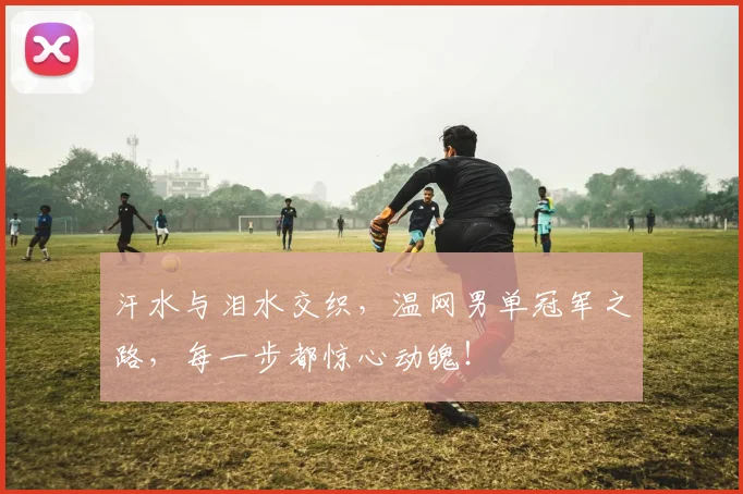 汗水与泪水交织，温网男单冠军之路，每一步都惊心动魄！